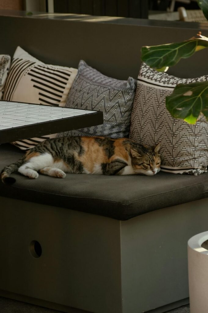 Customize Cushions for bench